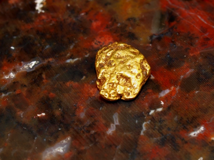 Adelaide Gold Nuggets