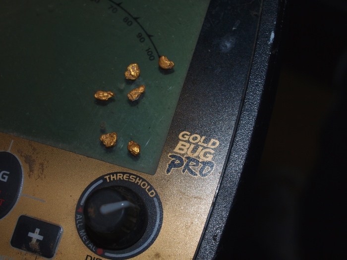 metal detector for gold nuggets
