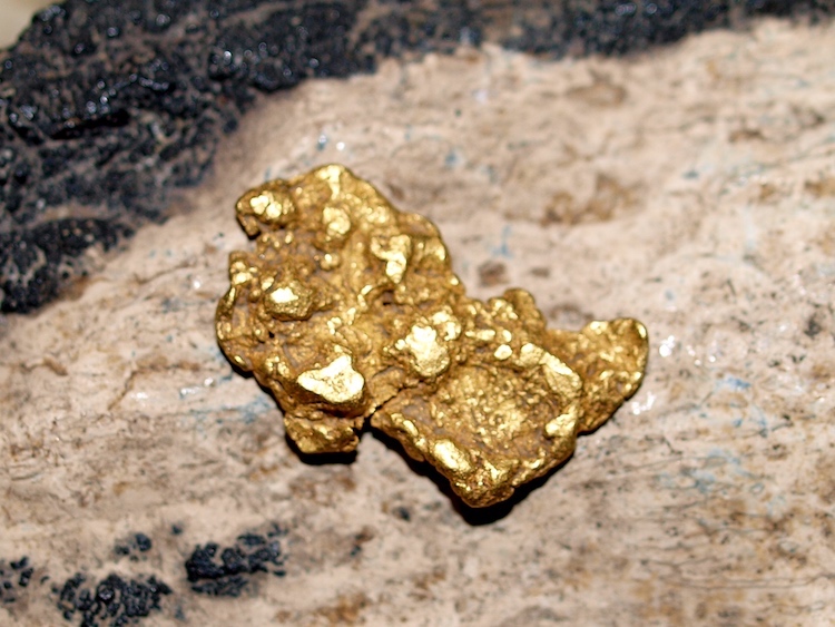 Gold Nugget Found