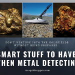 Metal Detecting Goldfields