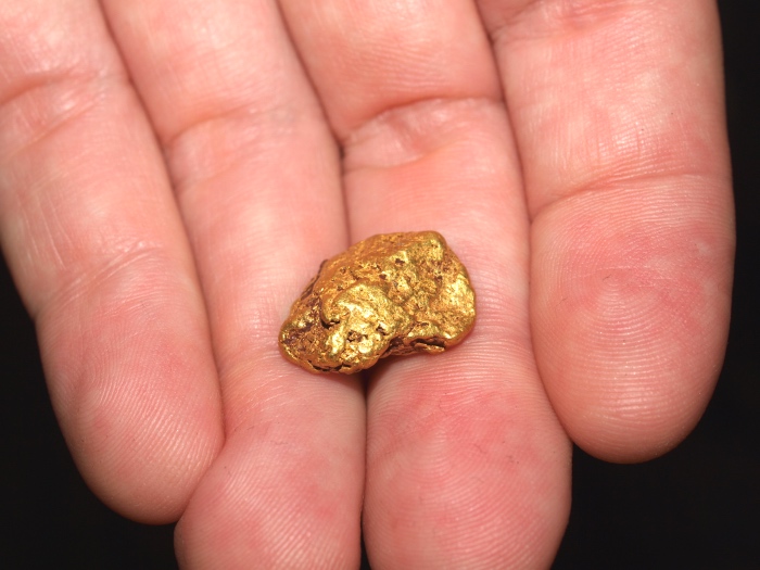 Big Nice Gold Nugget