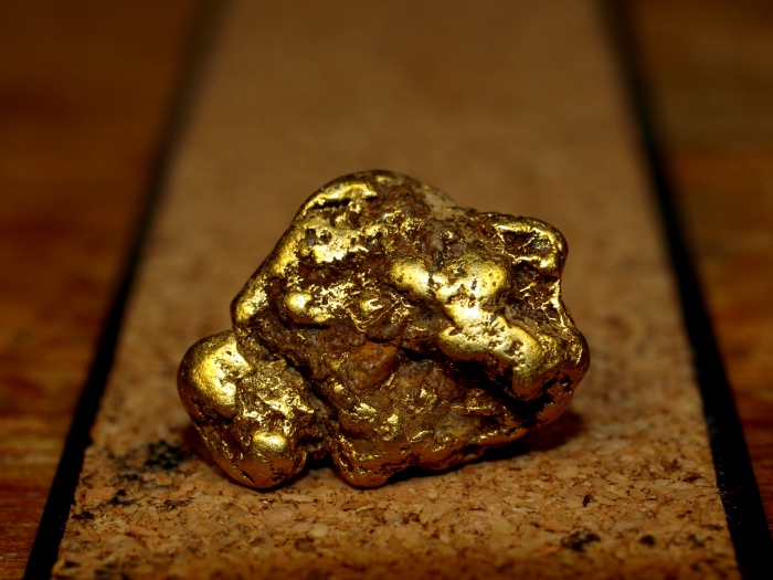 Oregon Gold Nugget
