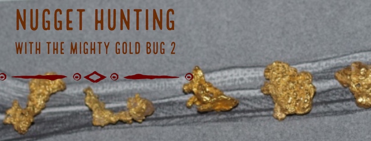 Finding Gold Bug Gold