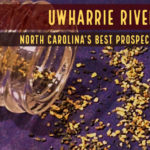 Gold Panning Uwharrie River