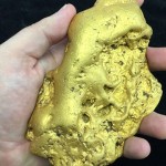 Metal Detecting California Gold Nuggets