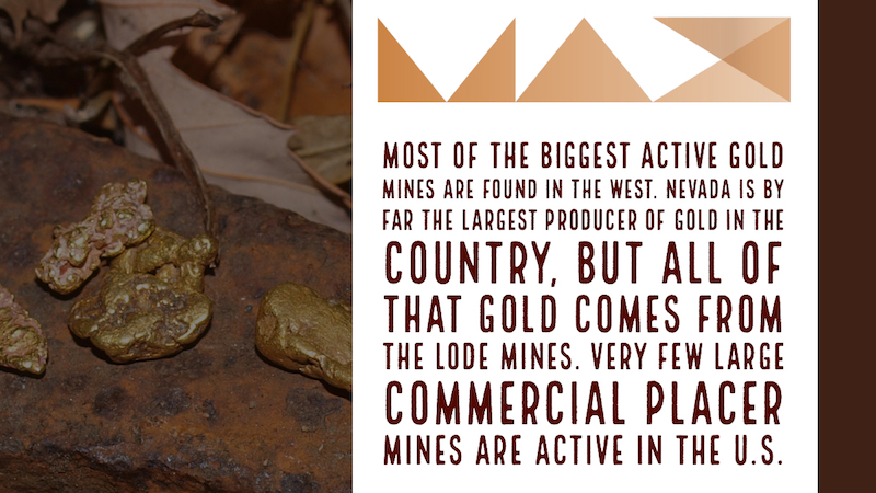 professional gold miner