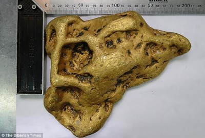 The Devil's Ear Nugget was found in 2014 in Siberia. it weigs 6.66 kilograms.