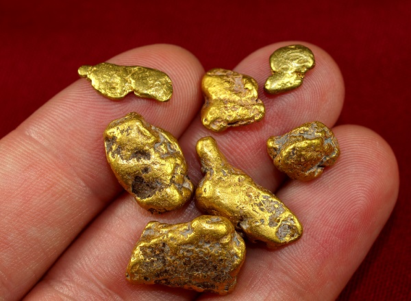 Gold Nuggets from Mining Claim