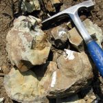 Rockhounding Tools for Geologists