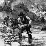 Tuolumne River Miners